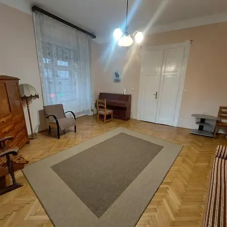 Spacious Base In The Center With Old Style Daire Budapeşte